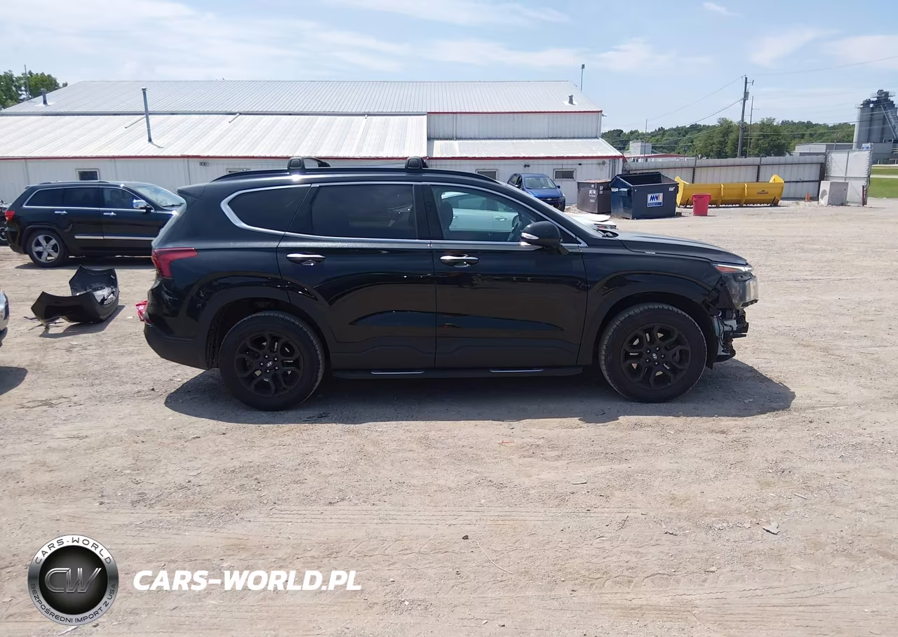 2023 Hyundai Santa Fe Xrt VIN:5NMS6DAJ4PH490748 - 13