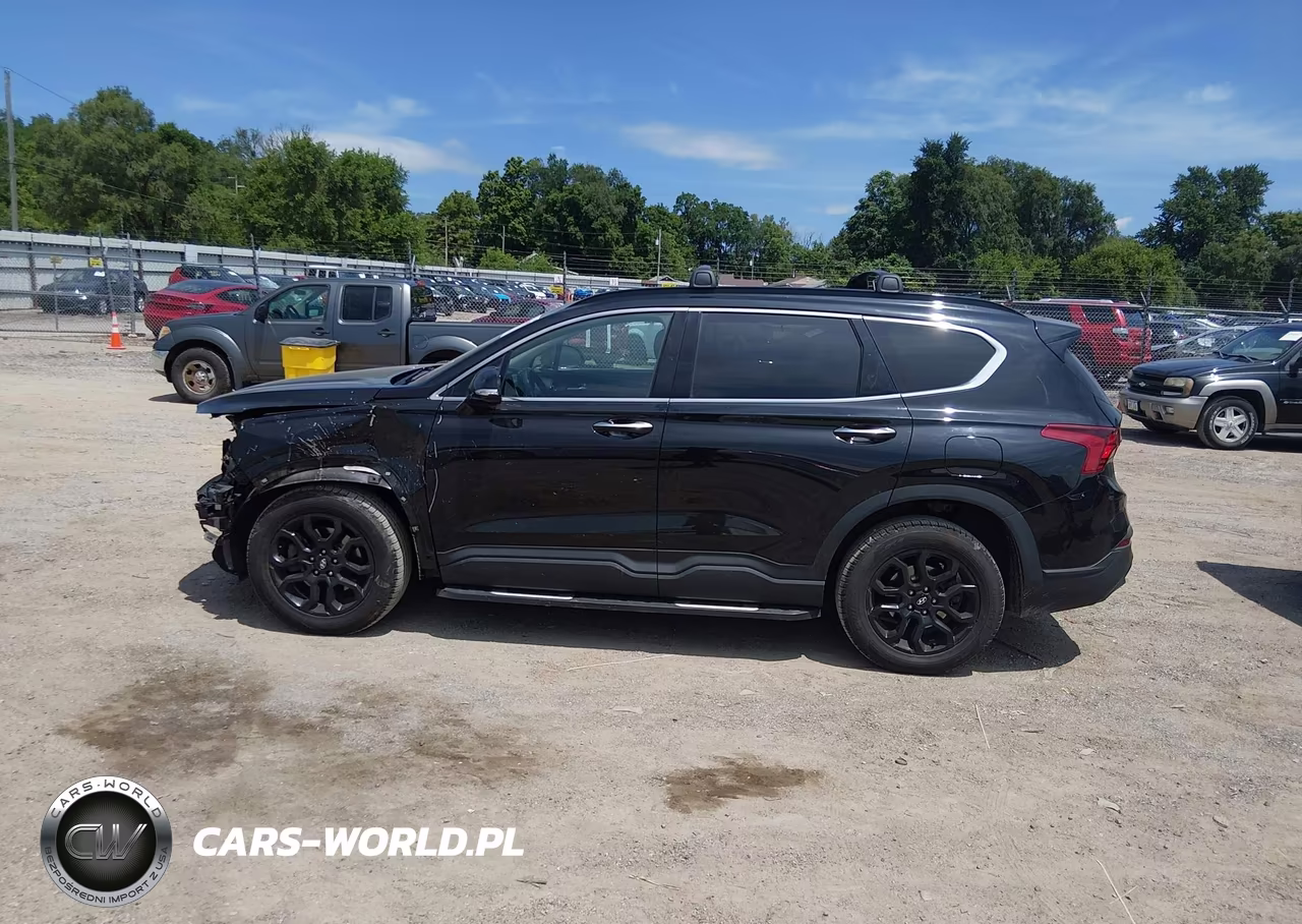 2023 Hyundai Santa Fe Xrt VIN:5NMS6DAJ4PH490748 - 14
