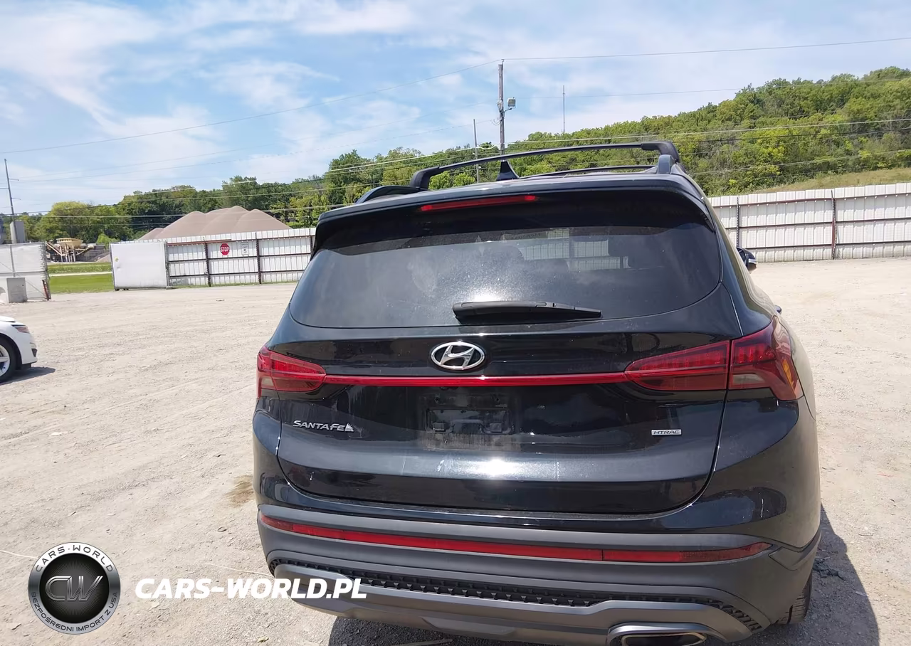 2023 Hyundai Santa Fe Xrt VIN:5NMS6DAJ4PH490748 - 16