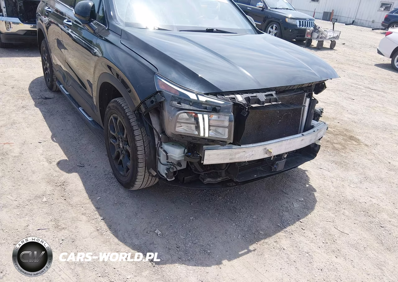 2023 Hyundai Santa Fe Xrt VIN:5NMS6DAJ4PH490748 - 17