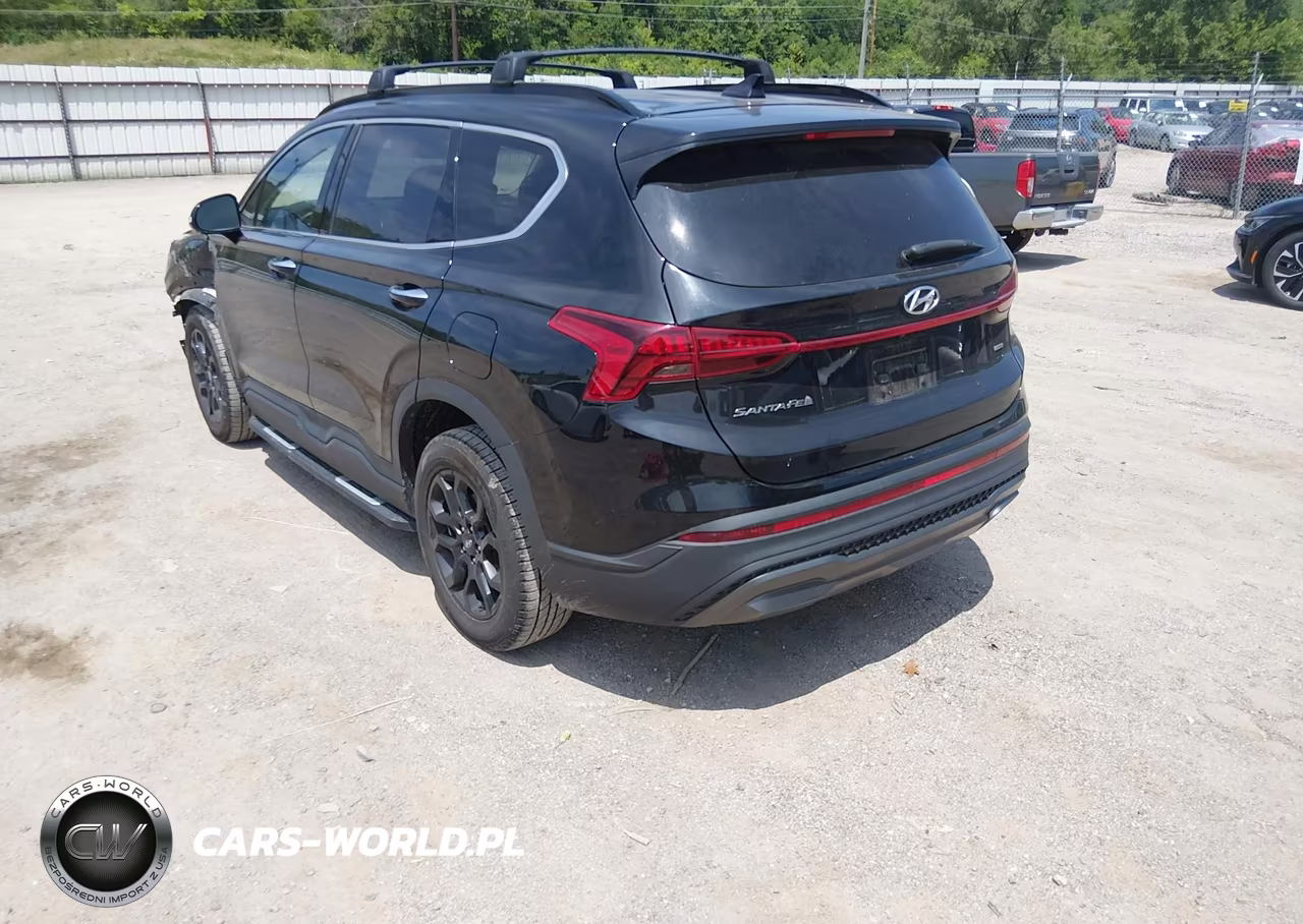 2023 Hyundai Santa Fe Xrt VIN:5NMS6DAJ4PH490748 - 3