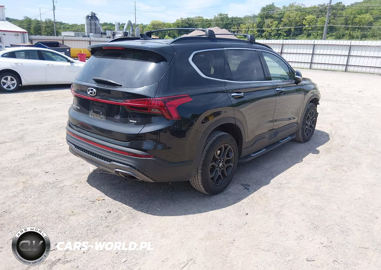 2023 Hyundai Santa Fe Xrt VIN:5NMS6DAJ4PH490748 - 4