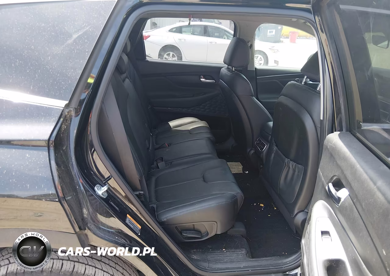 2023 Hyundai Santa Fe Xrt VIN:5NMS6DAJ4PH490748 - 8