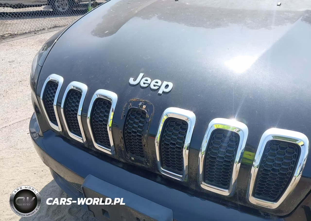 2016 Jeep Cherokee Sport VIN:1C4PJLAB2GW179355 - 17