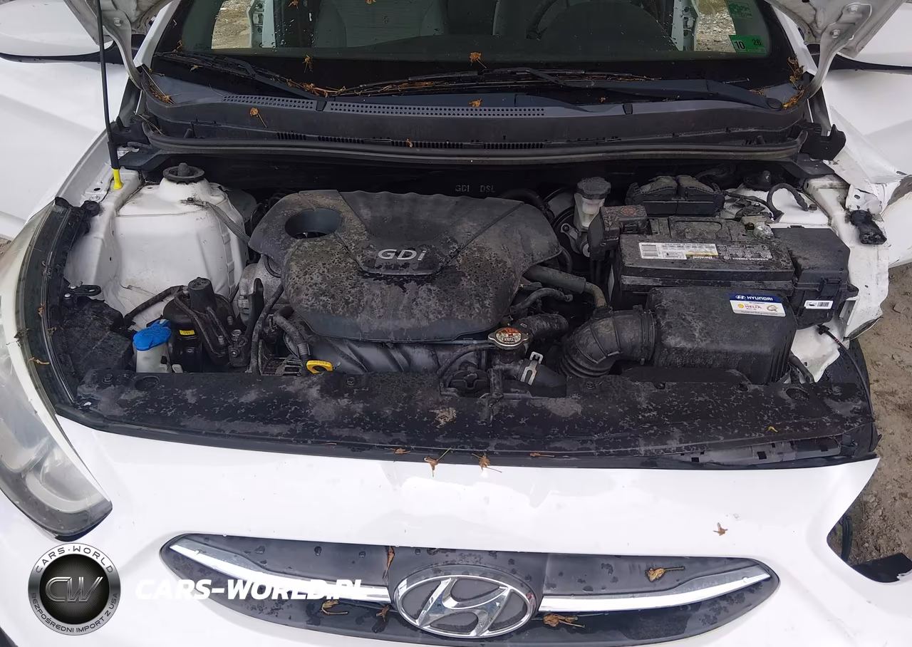 2016 Hyundai Accent Se VIN:KMHCT5AE6GU239143 - 10