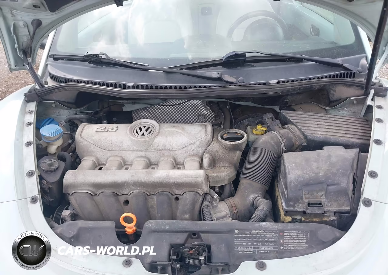 2010 Volkswagen New Beetle 2.5L Final Edition VIN:3VWRG3ALXAM011063 - 10