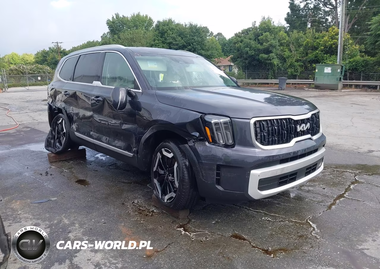 2025 Kia Telluride Ex VIN:5XYP3DGC2SG607284 - 1