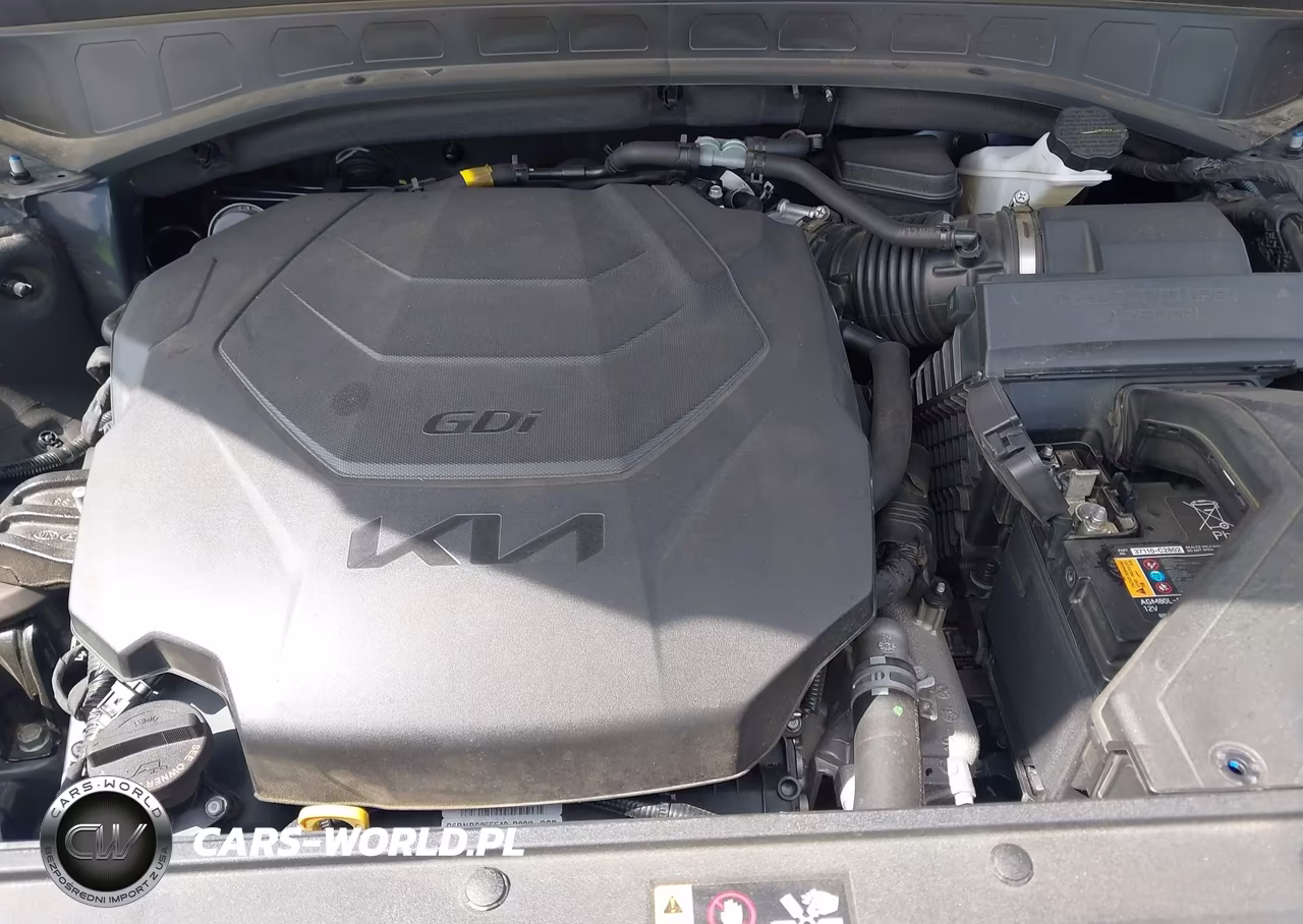 2025 Kia Telluride Ex VIN:5XYP3DGC2SG607284 - 10