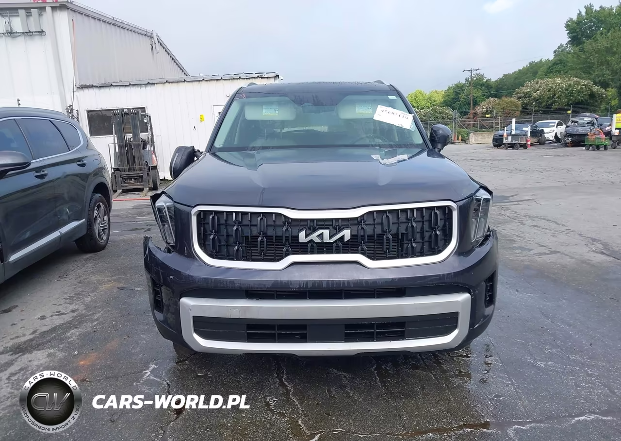 2025 Kia Telluride Ex VIN:5XYP3DGC2SG607284 - 12