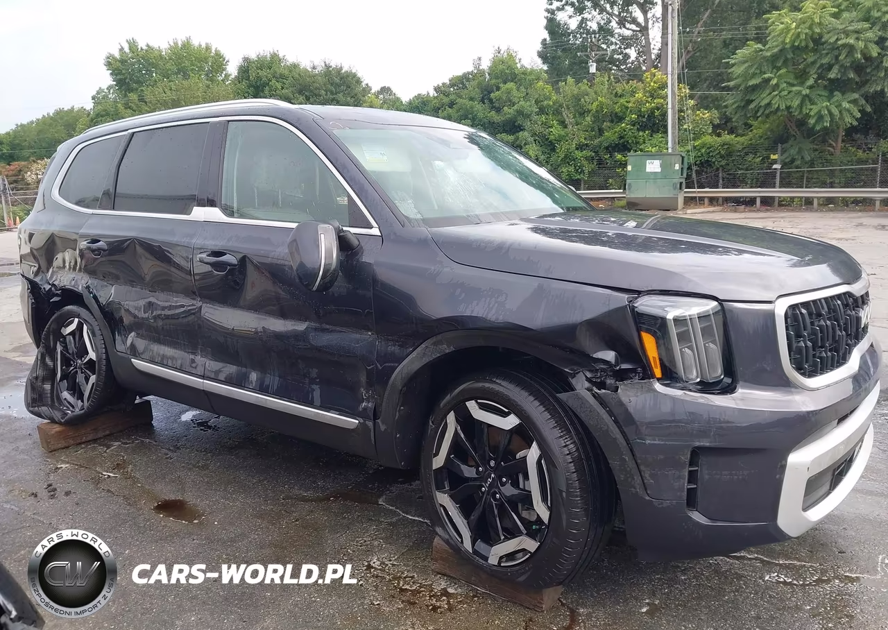 2025 Kia Telluride Ex VIN:5XYP3DGC2SG607284 - 13