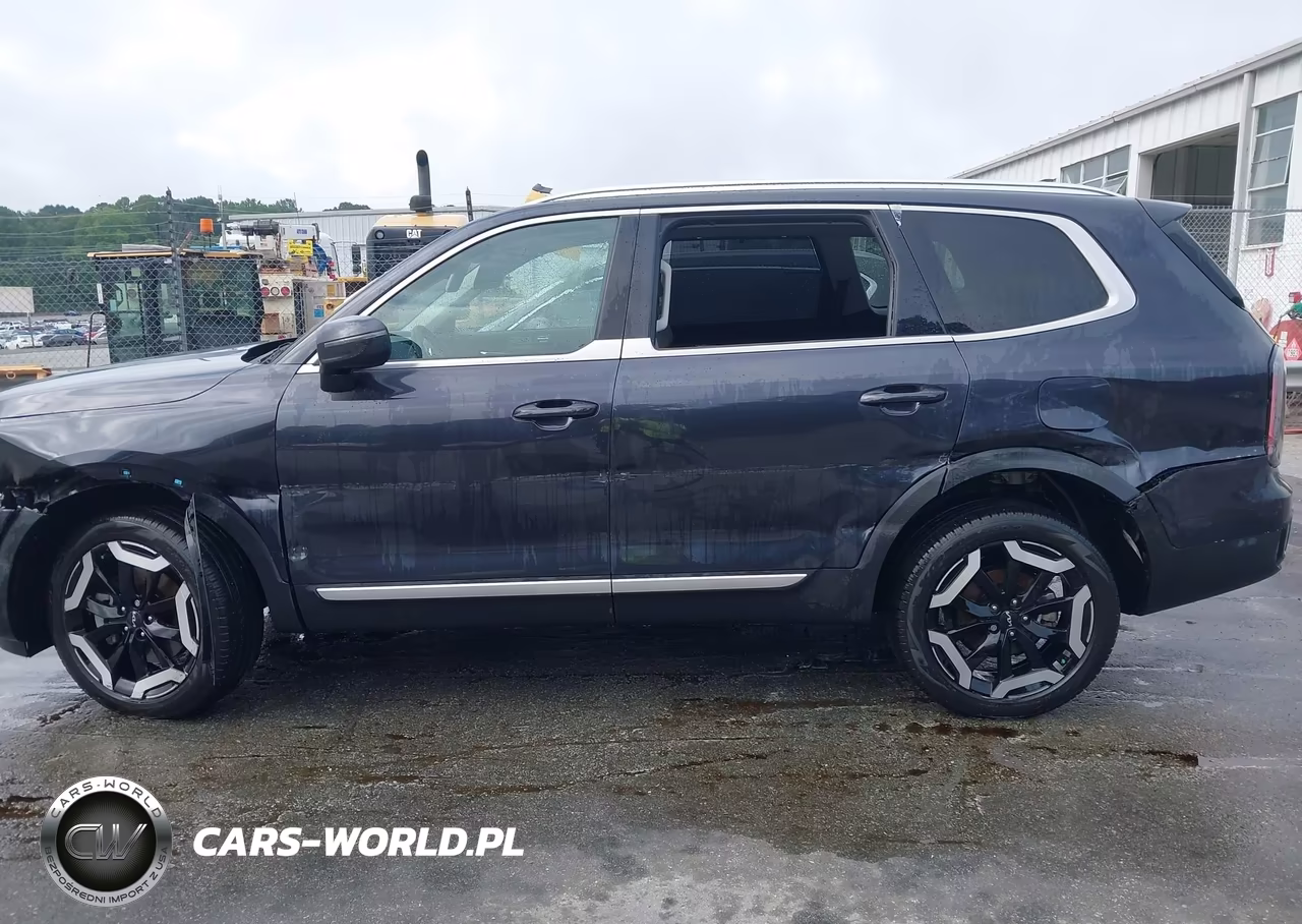2025 Kia Telluride Ex VIN:5XYP3DGC2SG607284 - 14