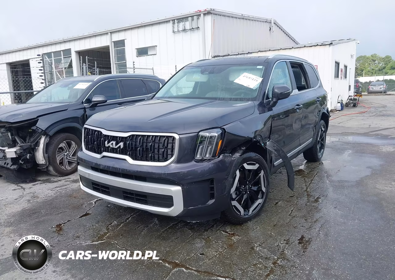 2025 Kia Telluride Ex VIN:5XYP3DGC2SG607284 - 2