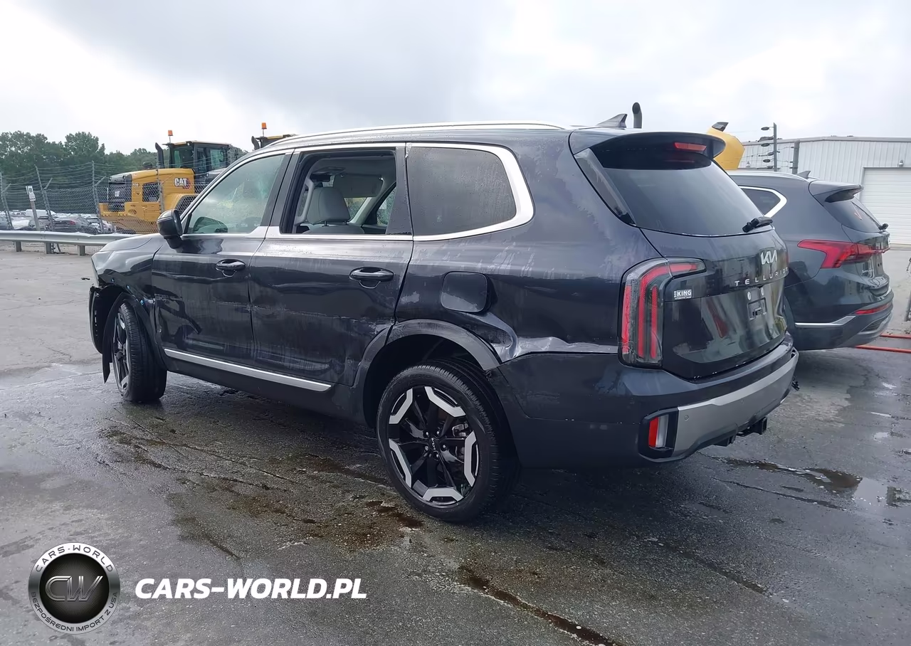 2025 Kia Telluride Ex VIN:5XYP3DGC2SG607284 - 3