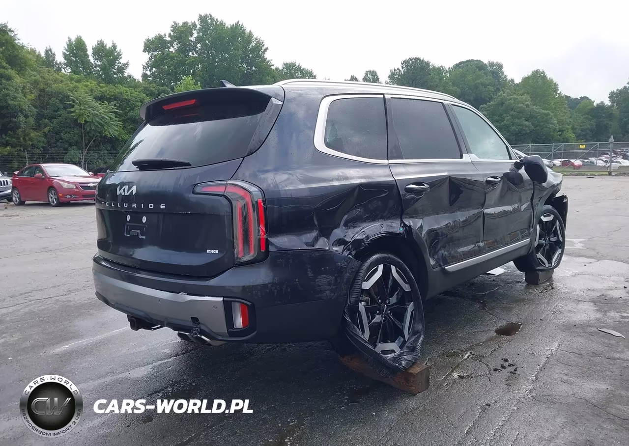 2025 Kia Telluride Ex VIN:5XYP3DGC2SG607284 - 4