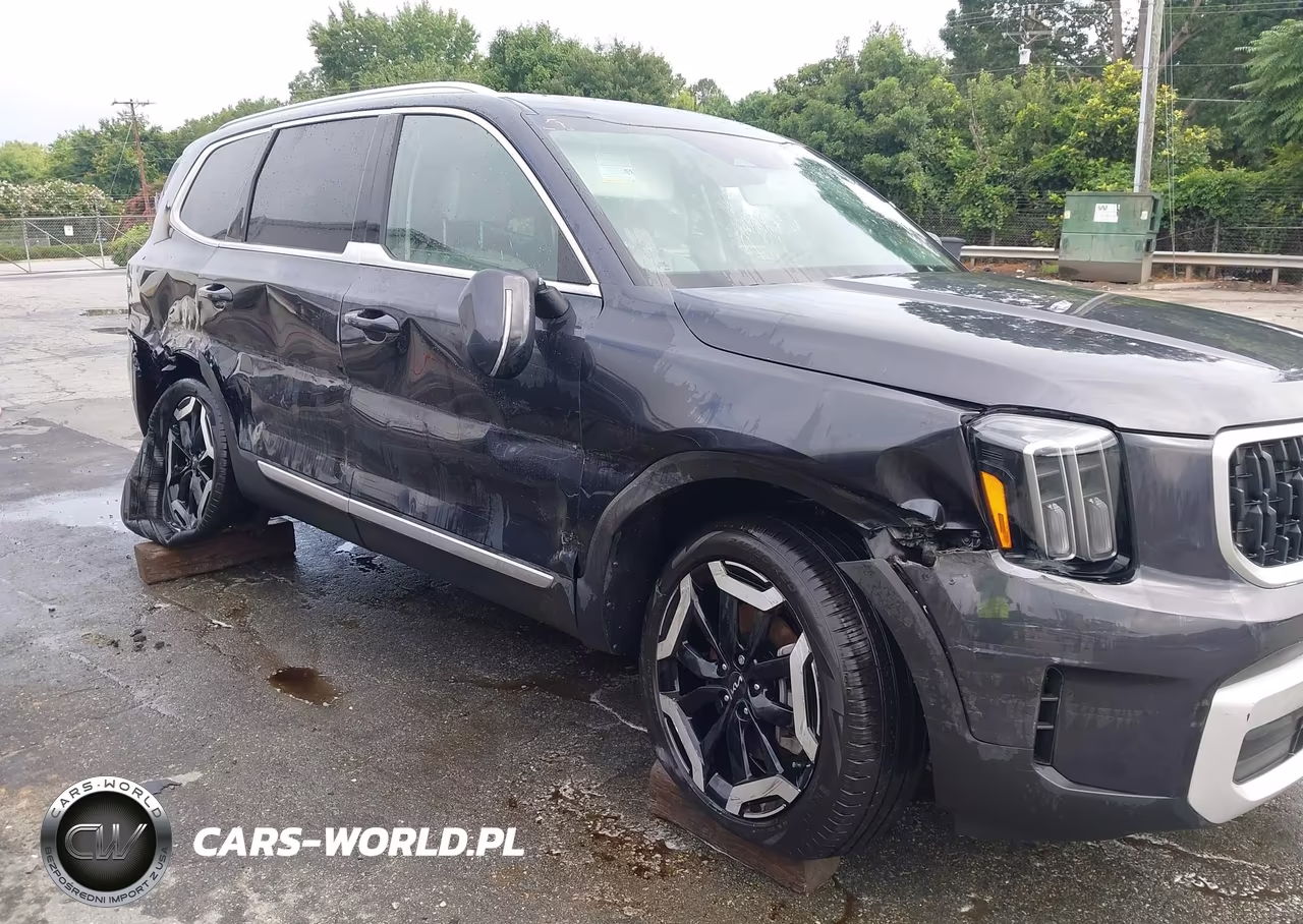 2025 Kia Telluride Ex VIN:5XYP3DGC2SG607284 - 6