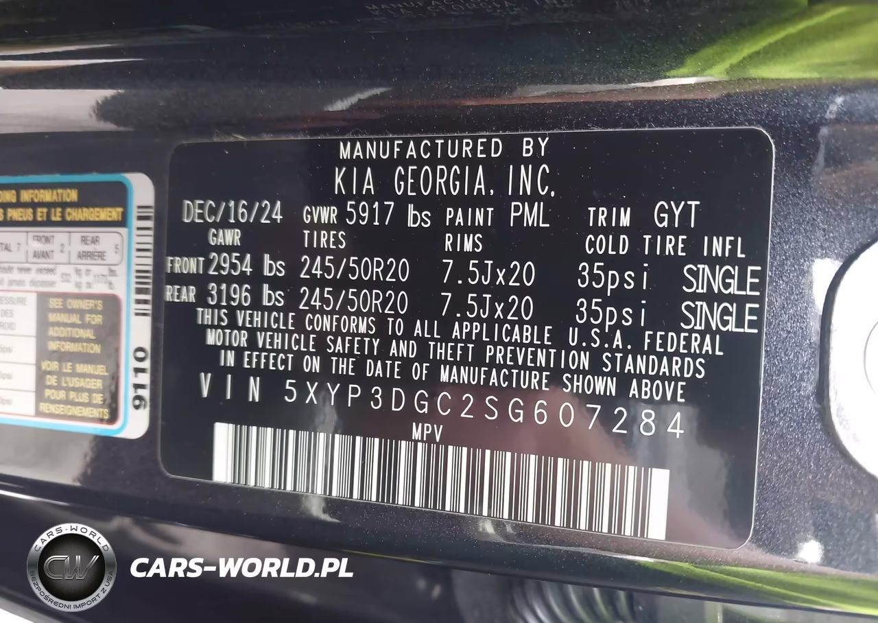 2025 Kia Telluride Ex VIN:5XYP3DGC2SG607284 - 9