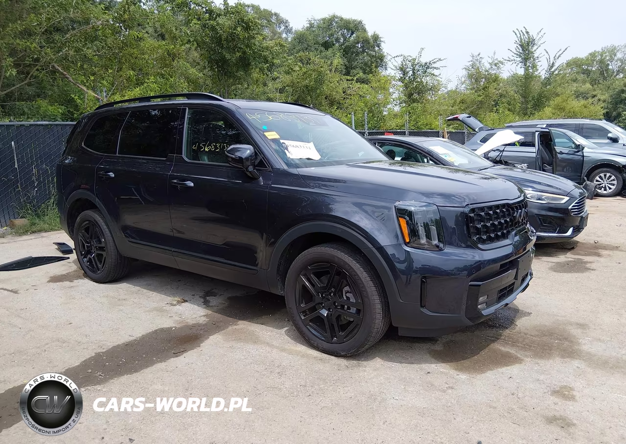 2025 Kia Telluride Sx Prestige X-Line VIN:5XYP5DGCXSG585884 - 1