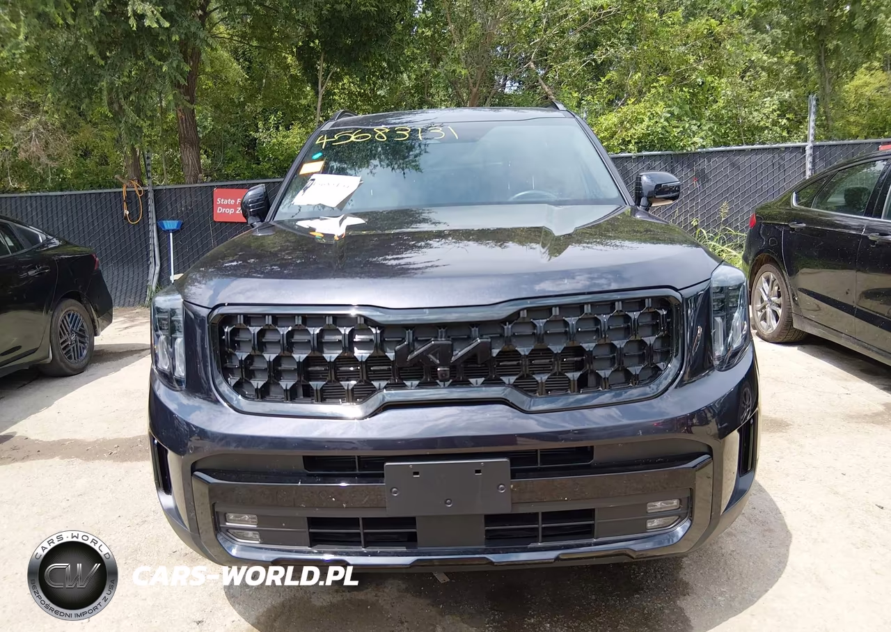 2025 Kia Telluride Sx Prestige X-Line VIN:5XYP5DGCXSG585884 - 13