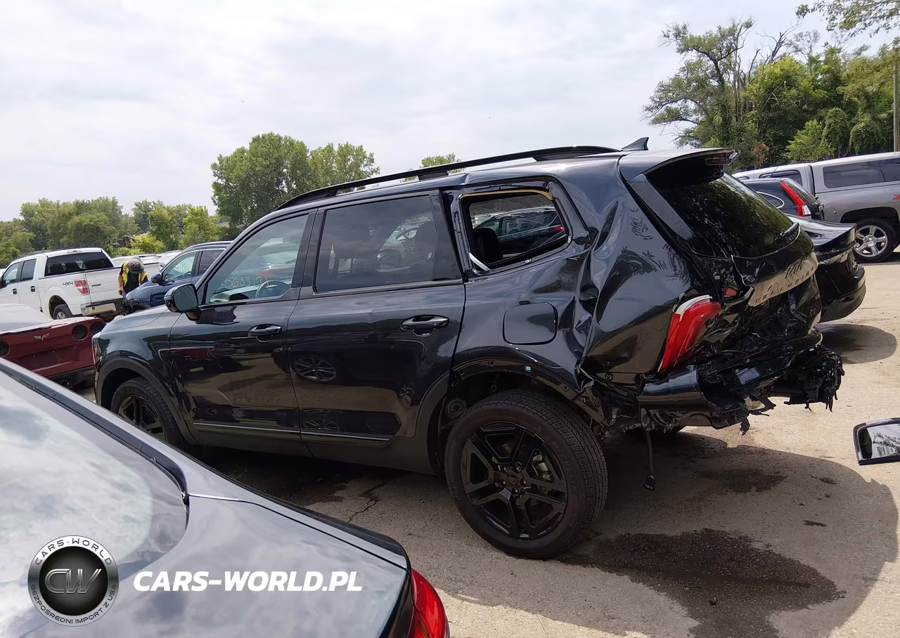 2025 Kia Telluride Sx Prestige X-Line VIN:5XYP5DGCXSG585884 - 15