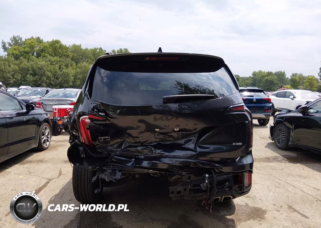 2025 Kia Telluride Sx Prestige X-Line VIN:5XYP5DGCXSG585884 - 17