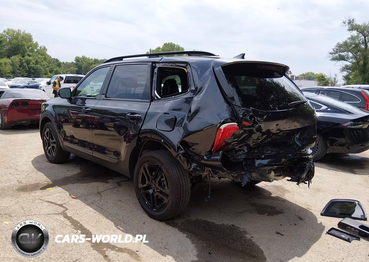 2025 Kia Telluride Sx Prestige X-Line VIN:5XYP5DGCXSG585884 - 3