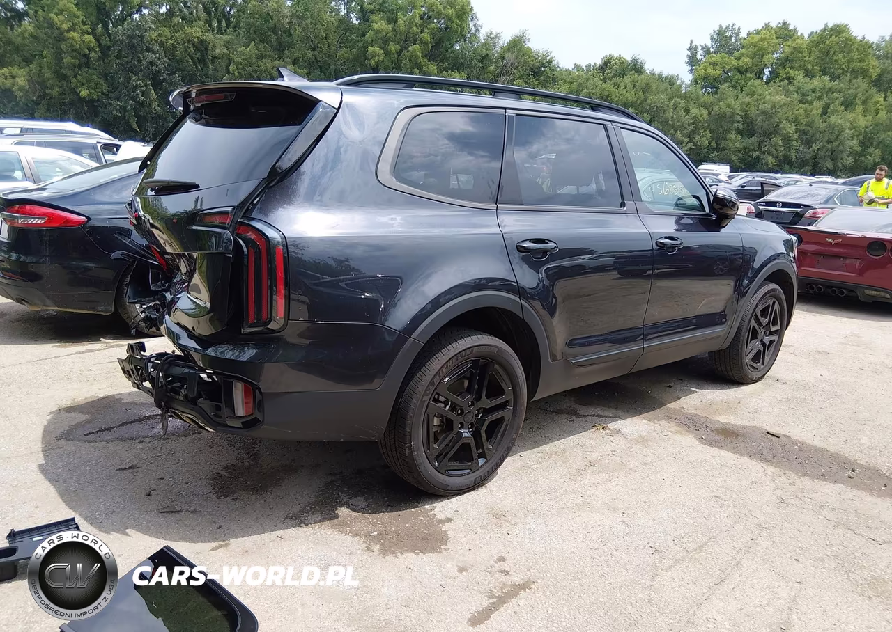 2025 Kia Telluride Sx Prestige X-Line VIN:5XYP5DGCXSG585884 - 4