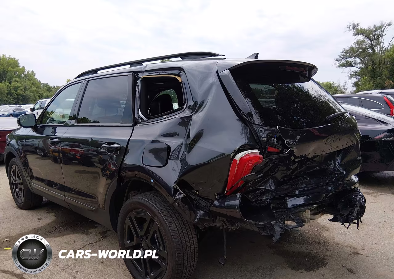 2025 Kia Telluride Sx Prestige X-Line VIN:5XYP5DGCXSG585884 - 6