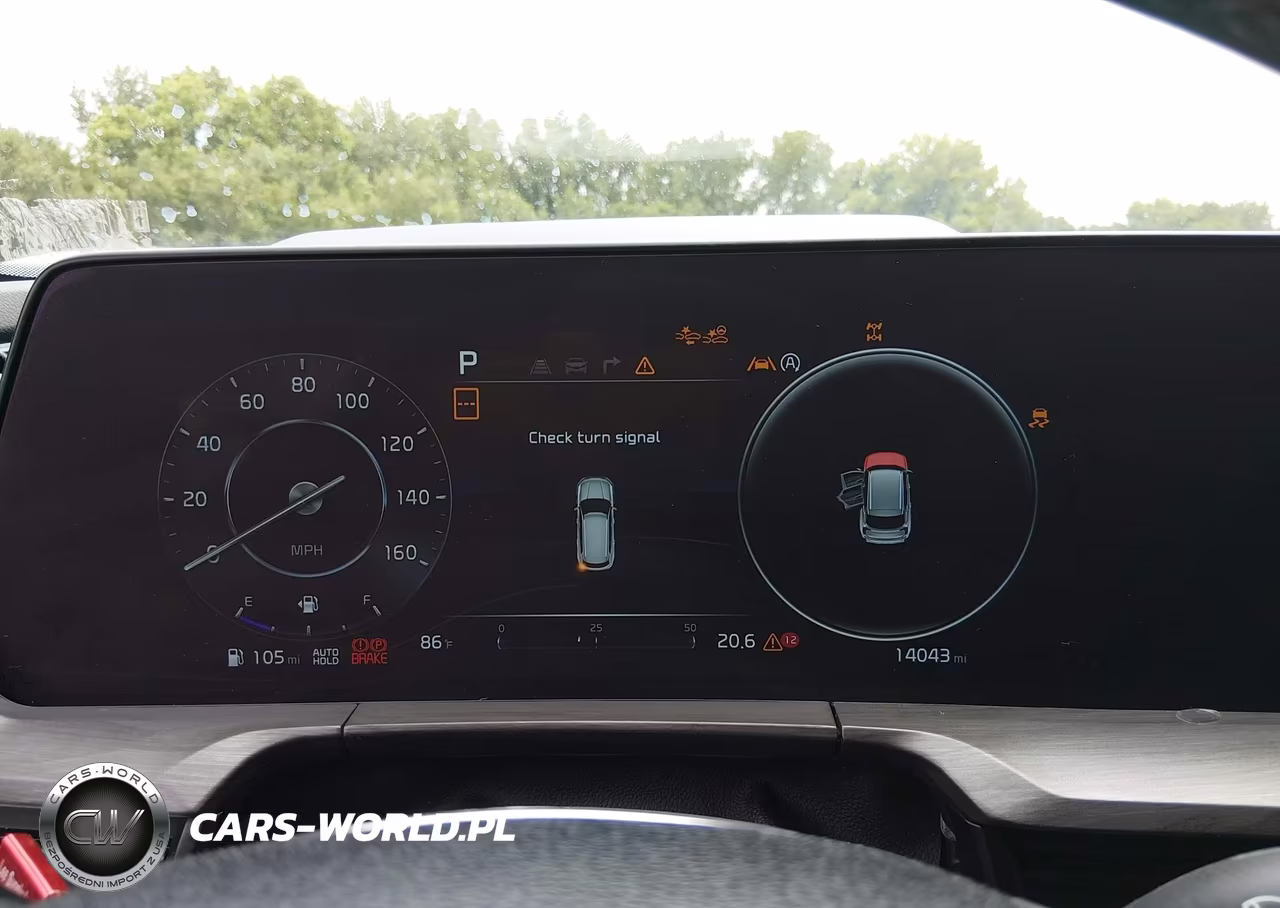 2025 Kia Telluride Sx Prestige X-Line VIN:5XYP5DGCXSG585884 - 7