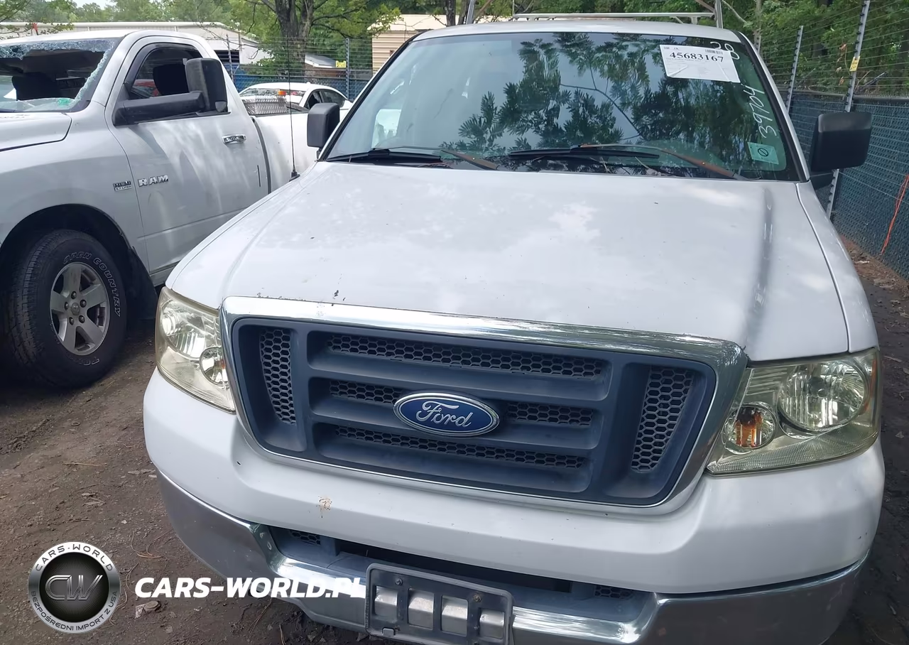 2004 Ford F-150 Stx-Xl-Xlt VIN:1FTRF12W44NB89936 - 6