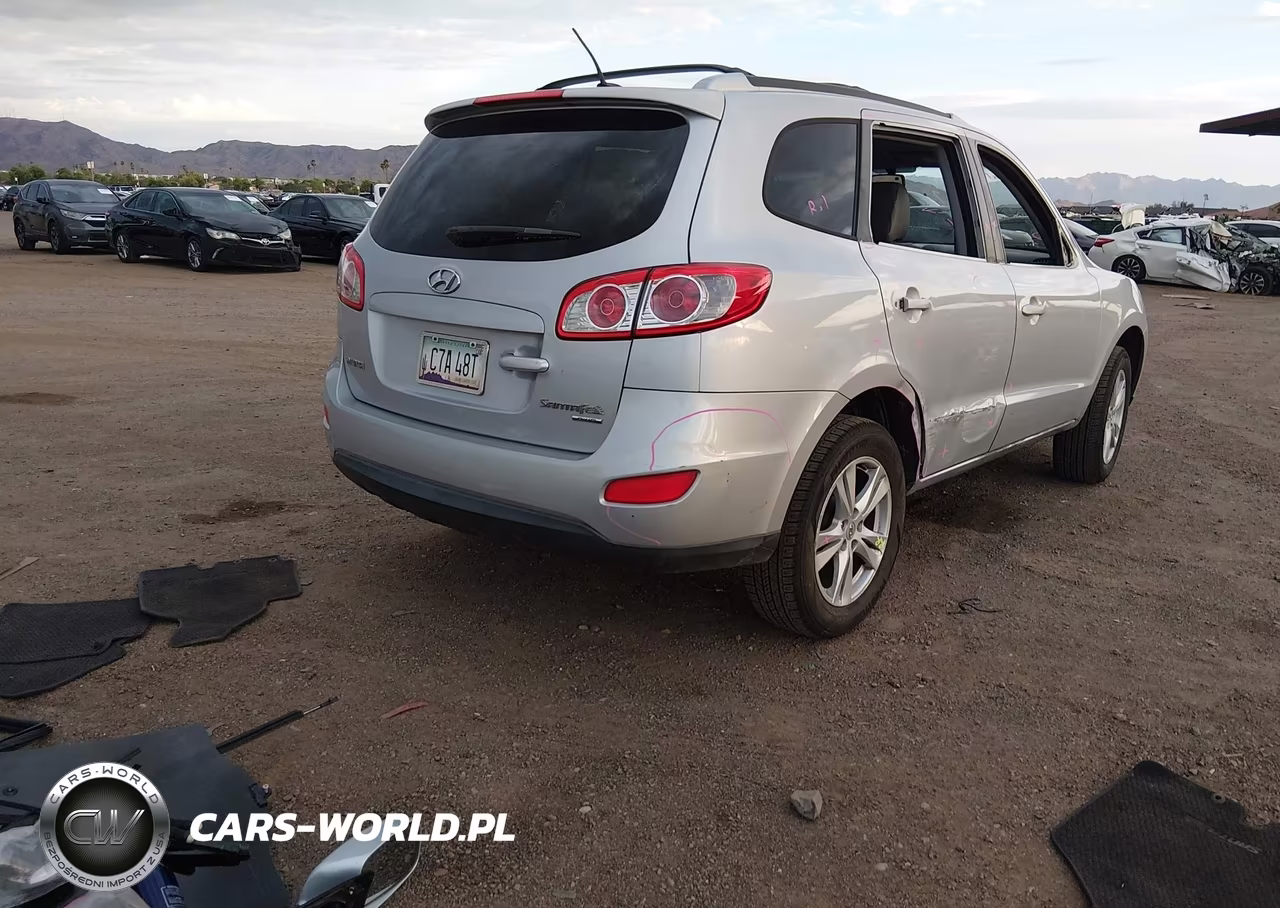 2010 Hyundai Santa Fe Se VIN:5NMSHDAG8AH334508 - 4