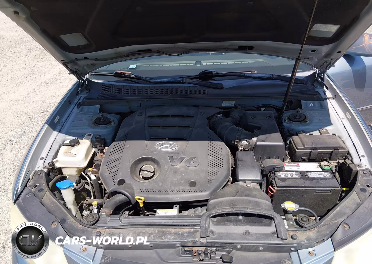 2009 Hyundai Sonata Limited V6 VIN:5NPEU46F89H480298 - 10