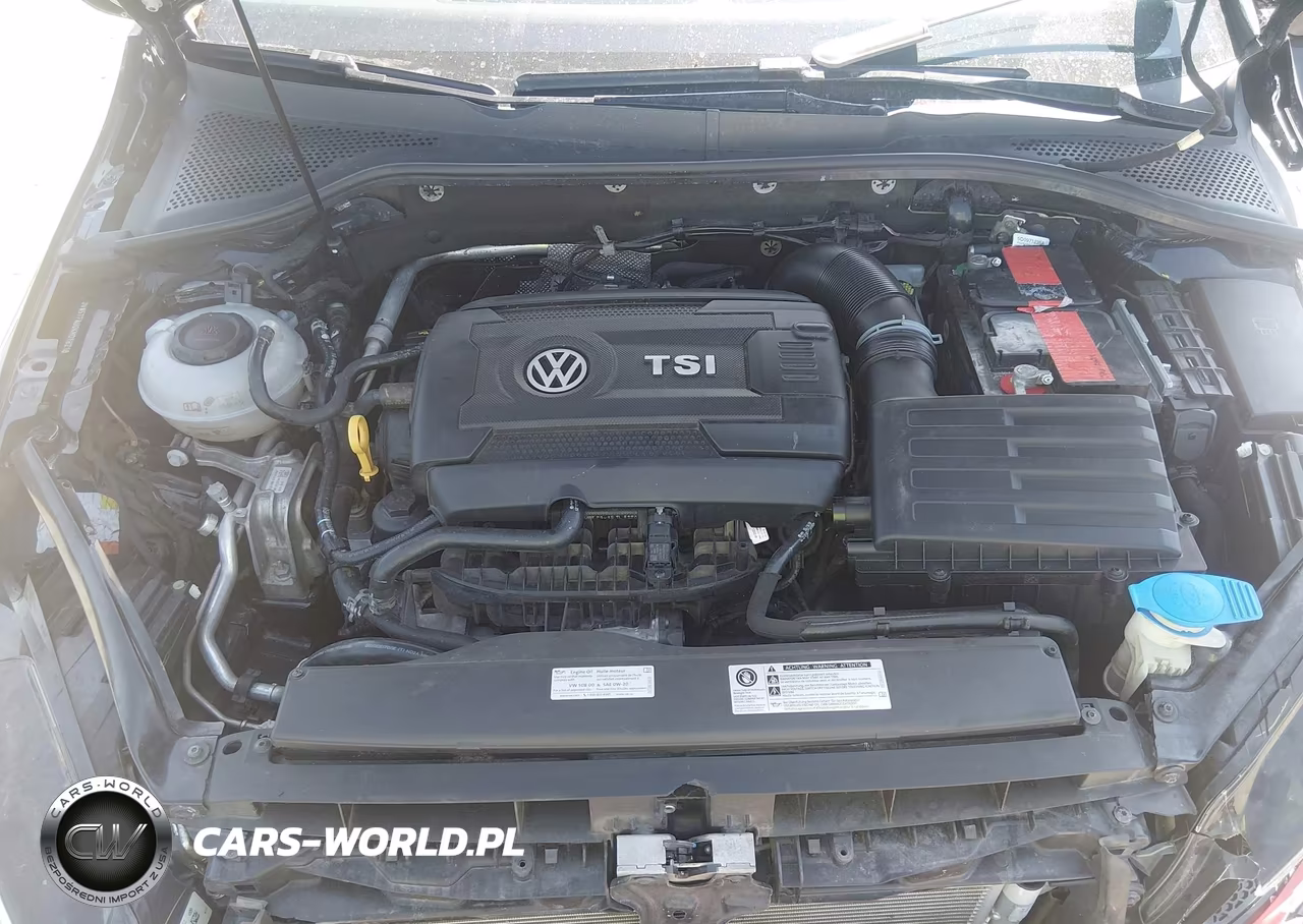 2019 Volkswagen Golf Gti 2.0T Autobahn-2.0T Rabbit Edition-2.0T S-2.0T Se VIN:3VW5T7AU0KM016218 - 10