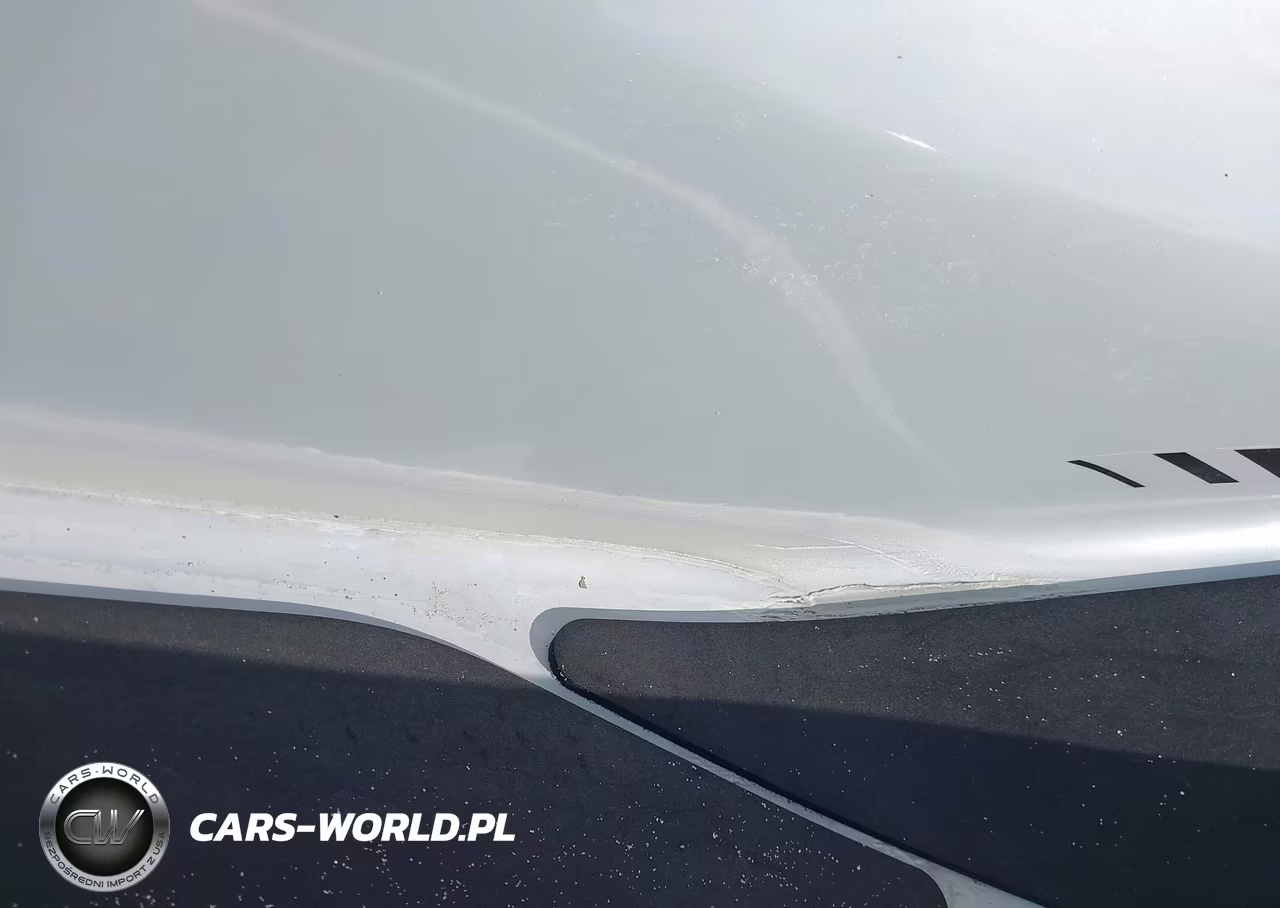 2019 Seadoo Other VIN:00000YDV96493F919 - 17