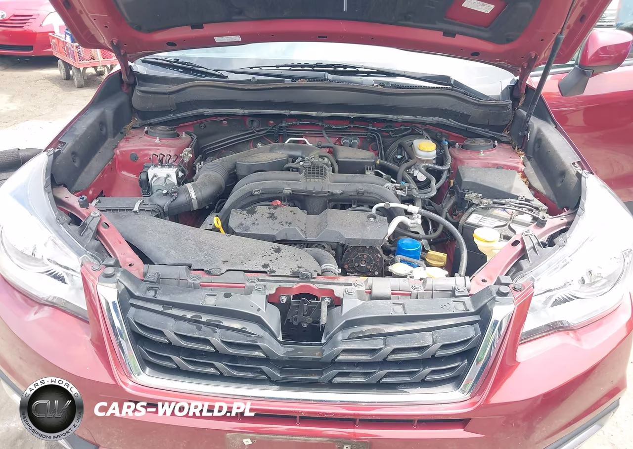 2017 Subaru Forester 2.5I Premium VIN:JF2SJAEC0HH514069 - 10