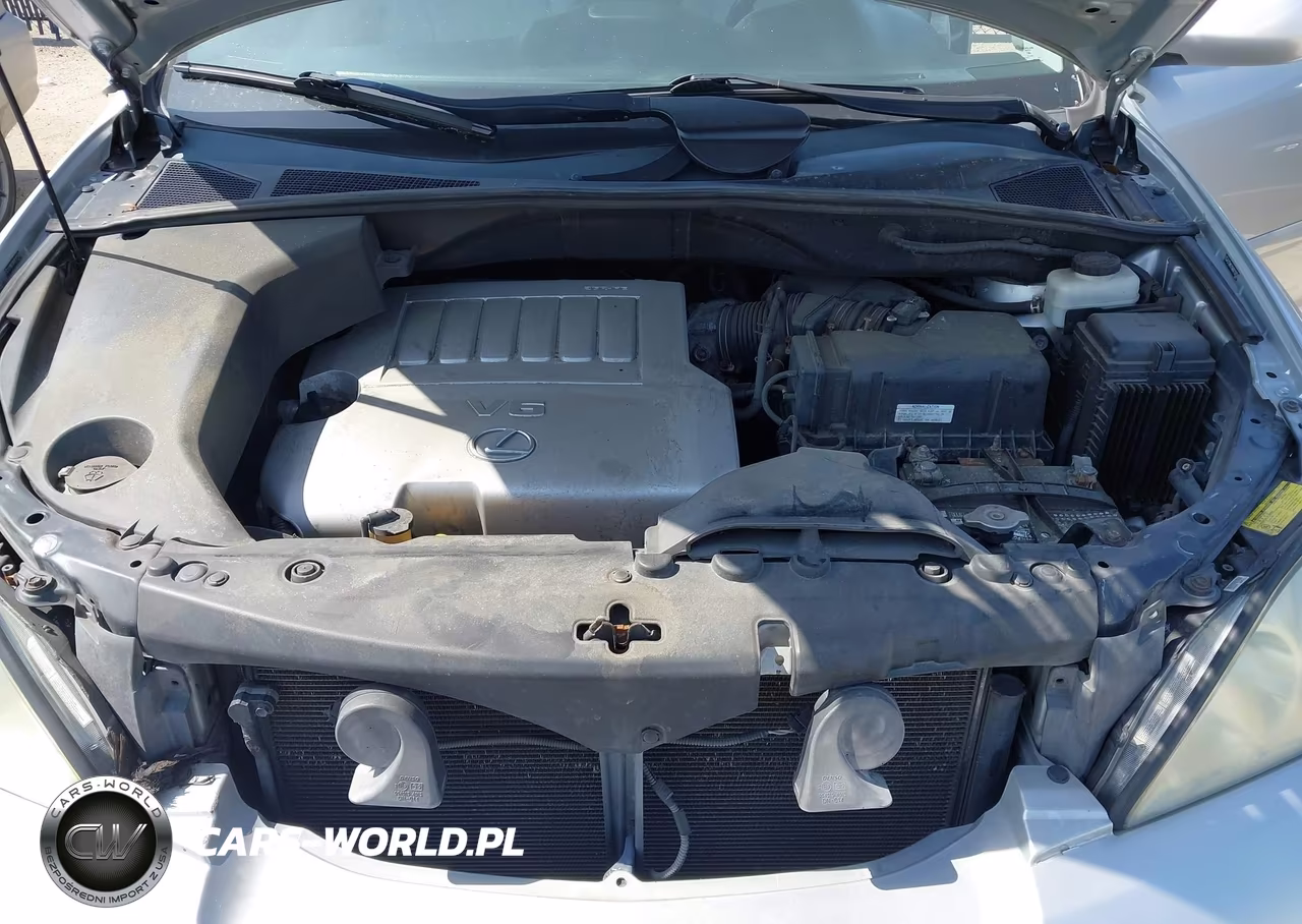 2009 Lexus Rx 350 VIN:2T2HK31U69C127530 - 10