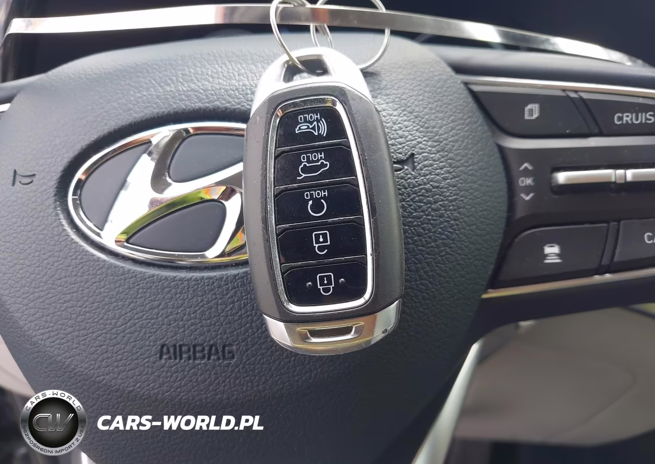2021 Hyundai Palisade Limited VIN:KM8R5DHE5MU290682 - 11