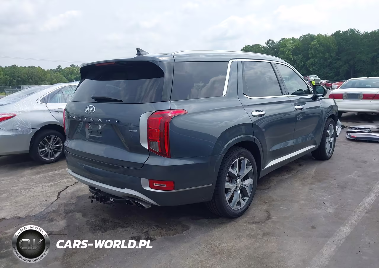 2021 Hyundai Palisade Limited VIN:KM8R5DHE5MU290682 - 4