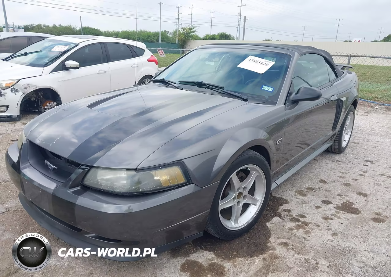 2003 Ford Mustang Gt VIN:1FAFP45X83F410202 - 2