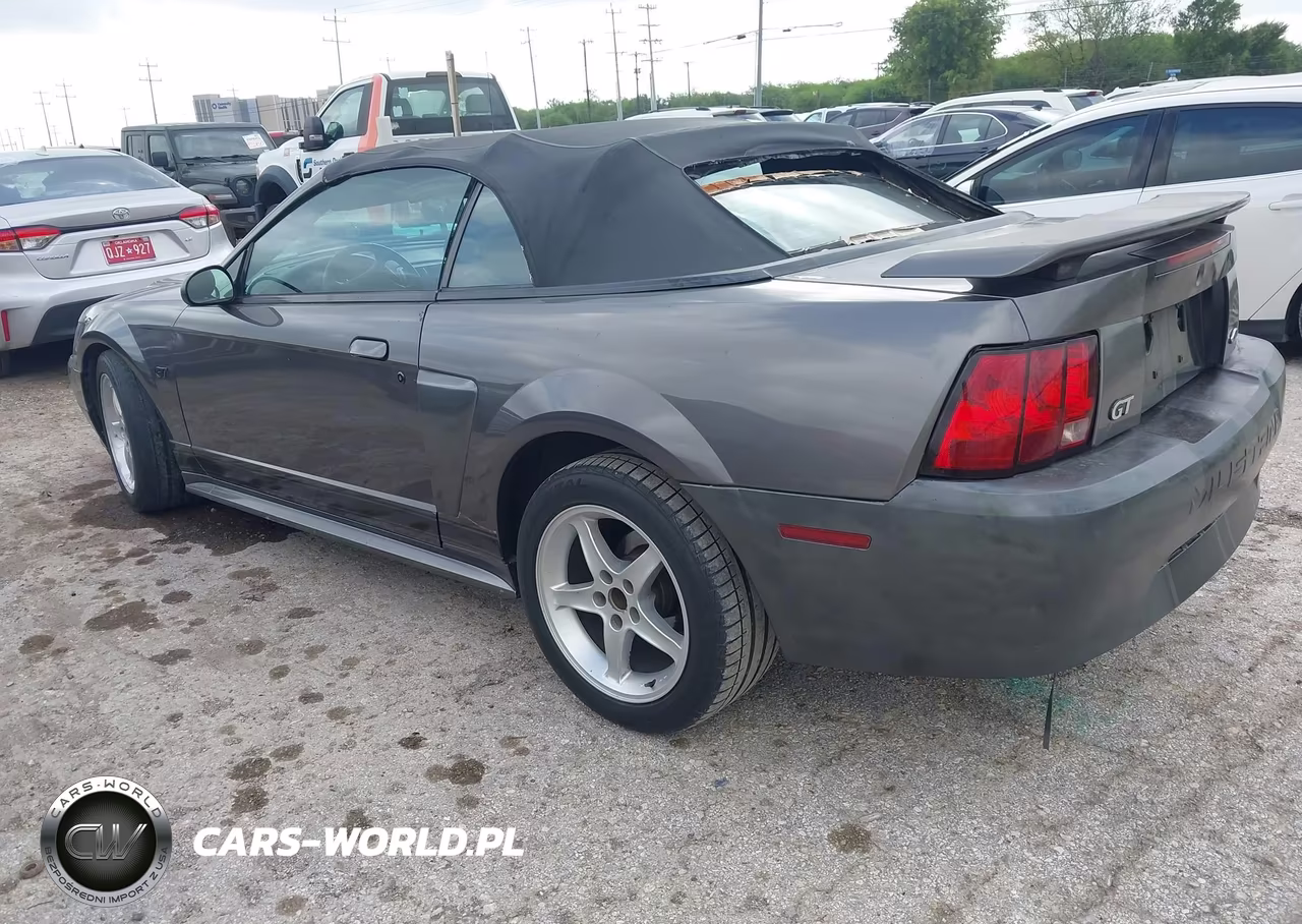 2003 Ford Mustang Gt VIN:1FAFP45X83F410202 - 3