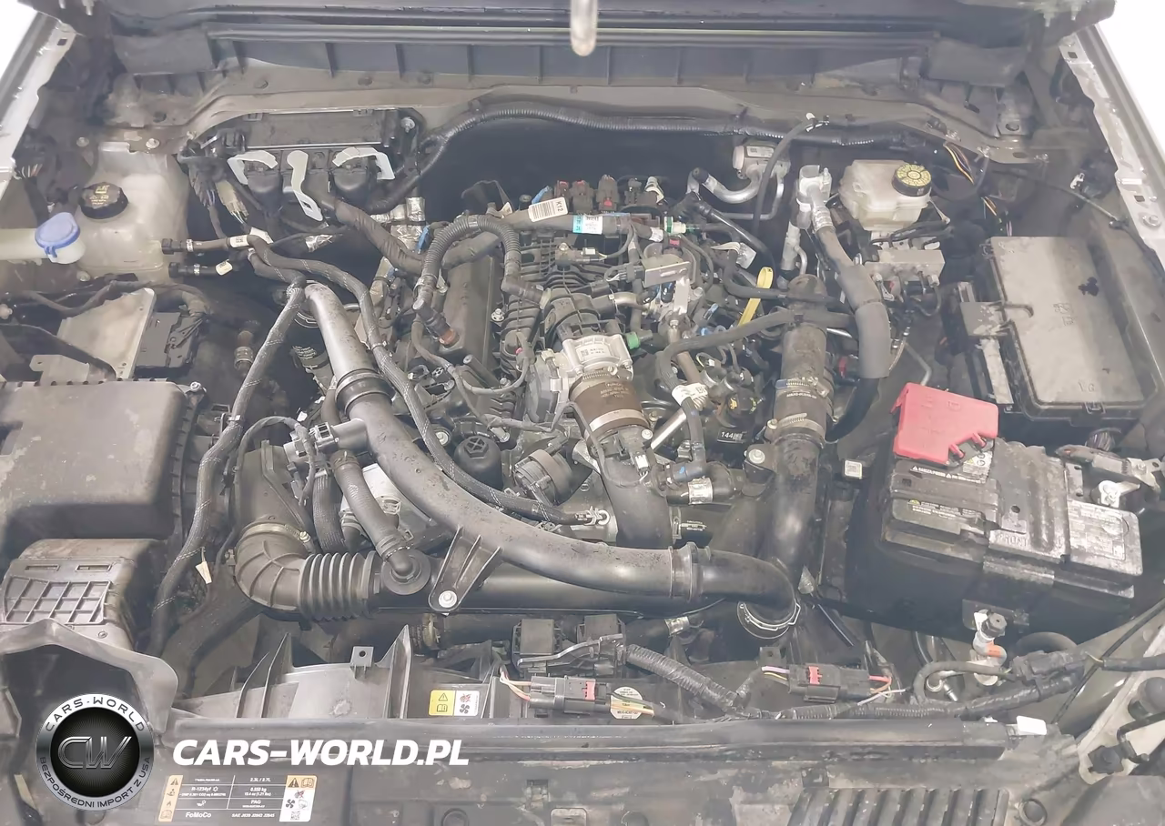 2025 Ford Bronco Outer Banks VIN:1FMEE8BP9SLB01258 - 10