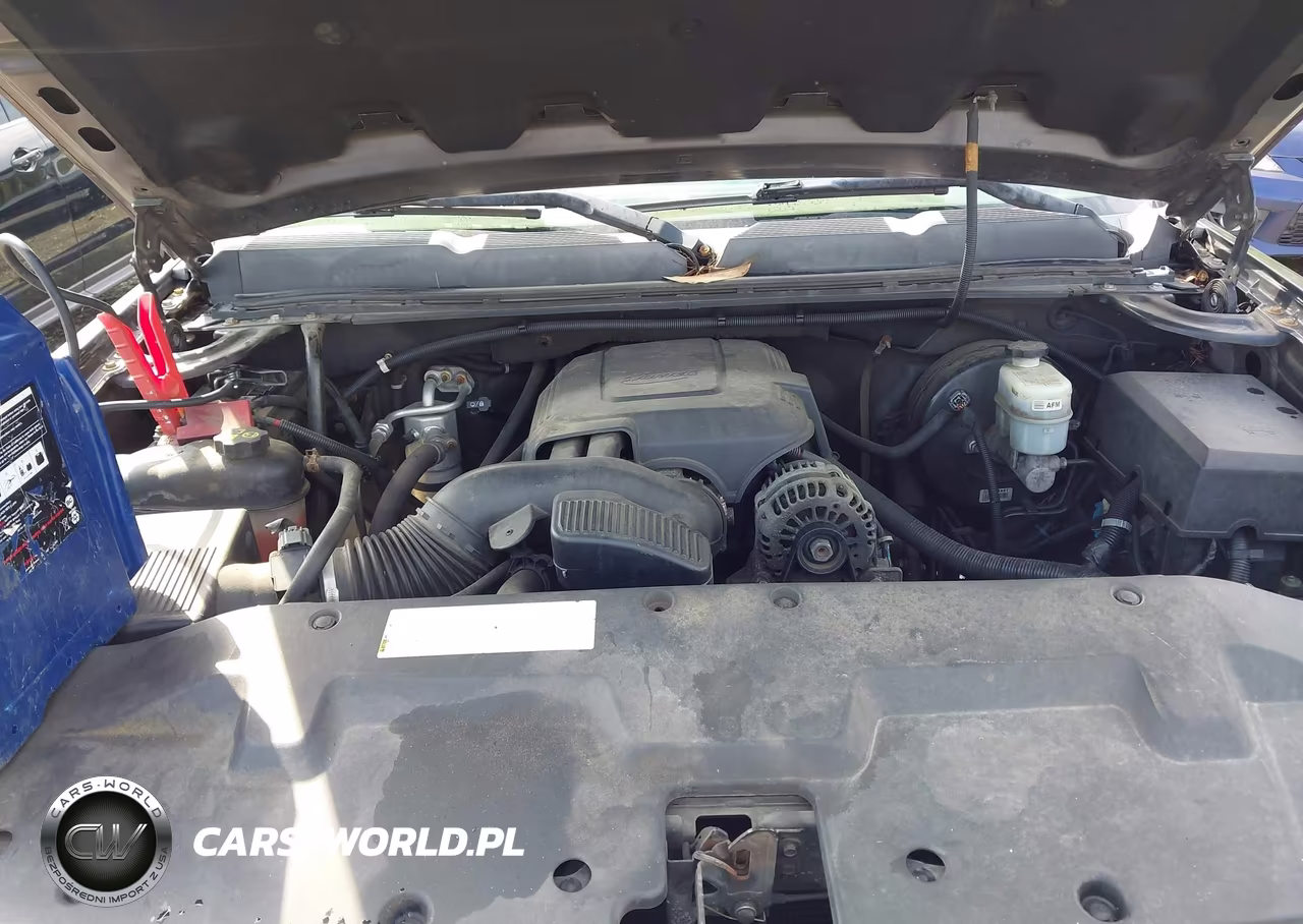 2010 Chevrolet Silverado 1500 Lt VIN:1GCPCSE0XAZ287306 - 10