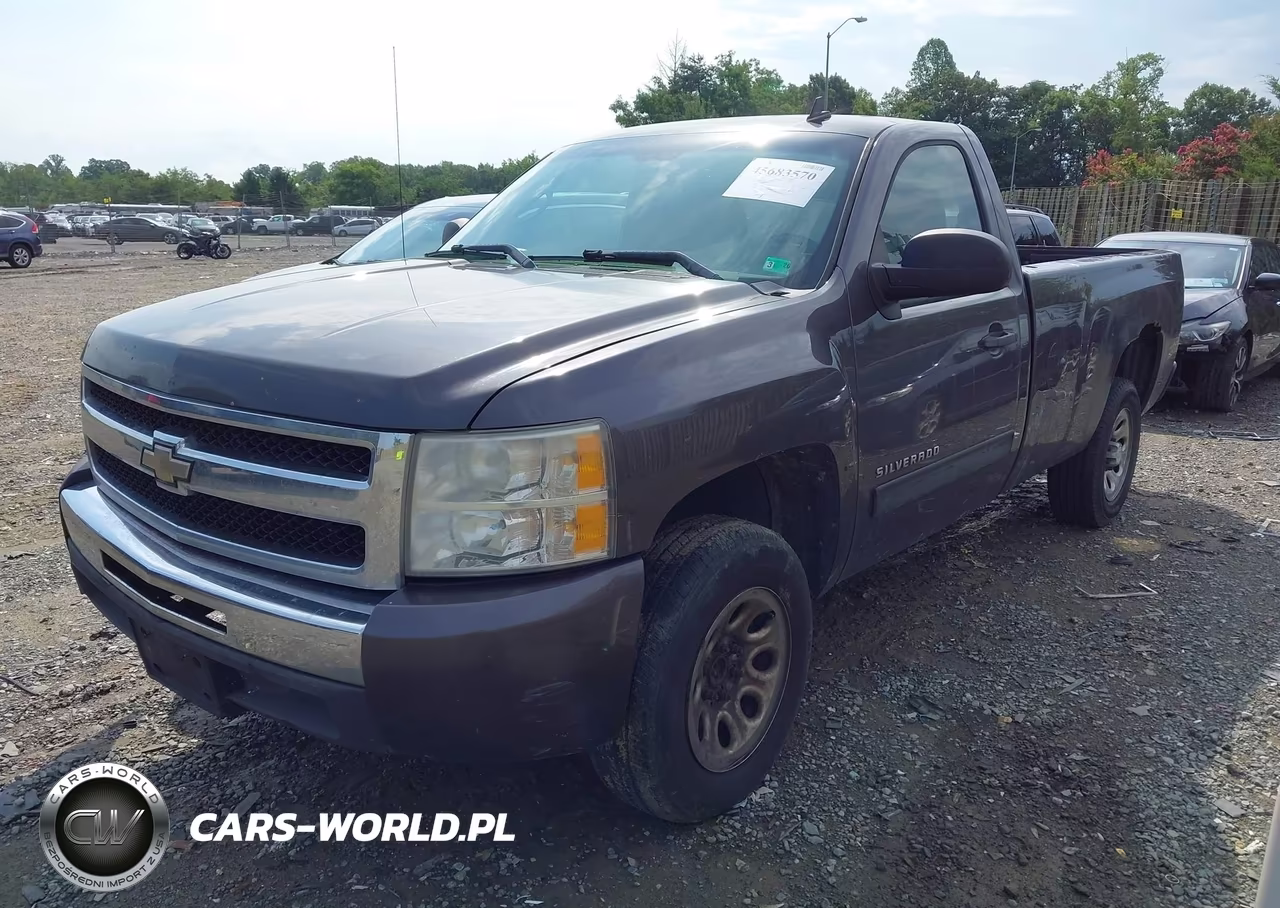 2010 Chevrolet Silverado 1500 Lt VIN:1GCPCSE0XAZ287306 - 2
