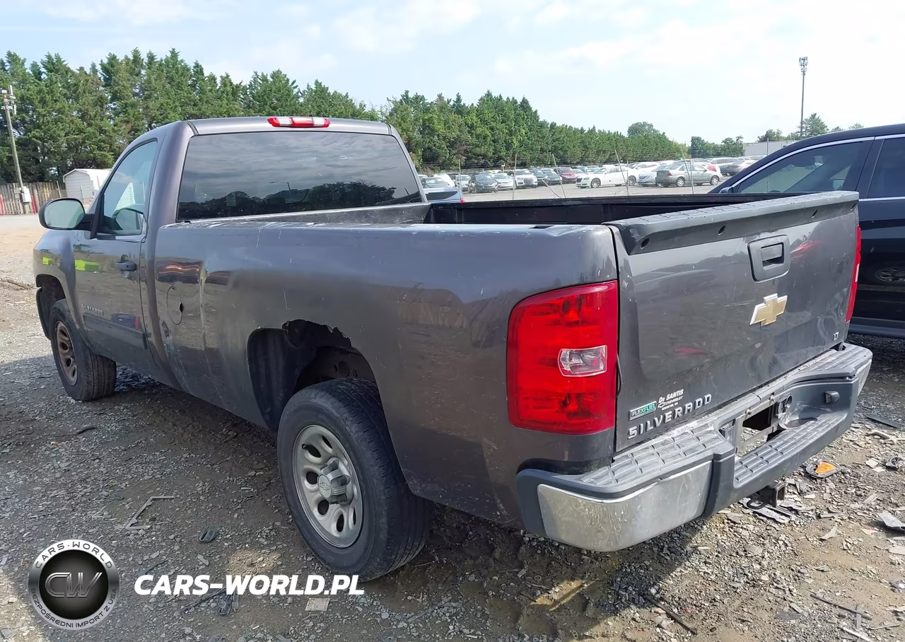 2010 Chevrolet Silverado 1500 Lt VIN:1GCPCSE0XAZ287306 - 3