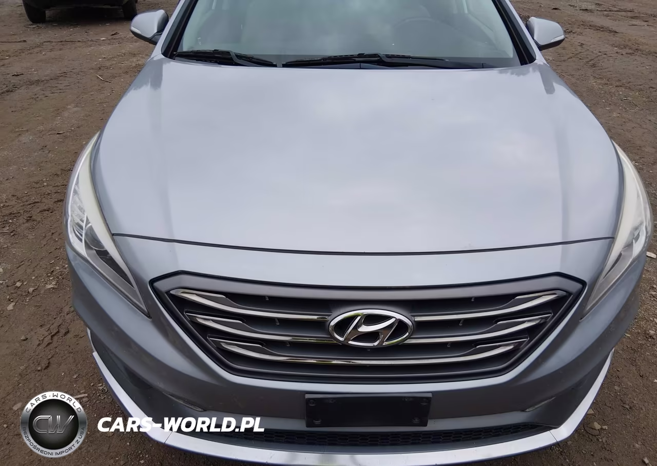 2015 Hyundai Sonata Sport VIN:5NPE34AFXFH142939 - 6