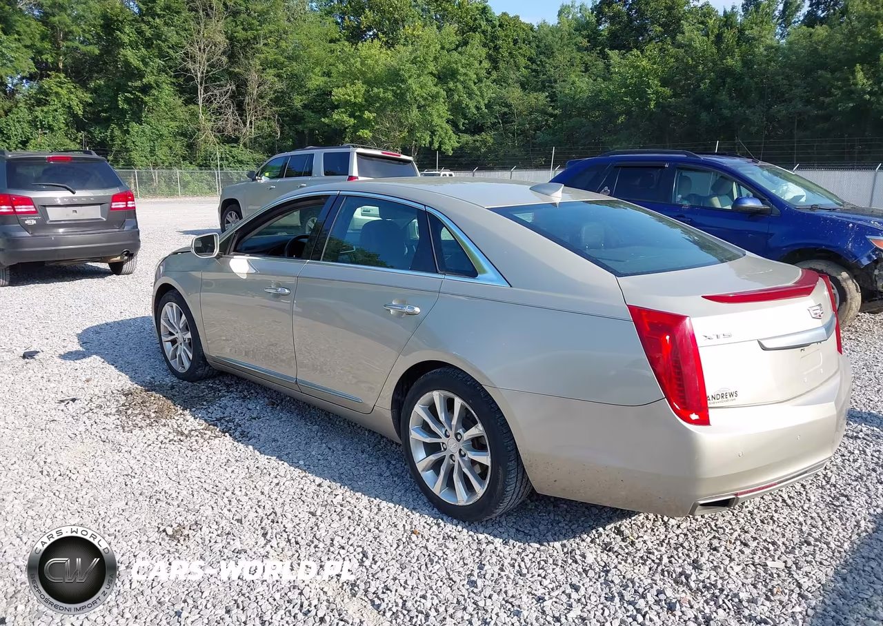 2016 Cadillac Xts Luxury Collection VIN:2G61M5S36G9159461 - 3