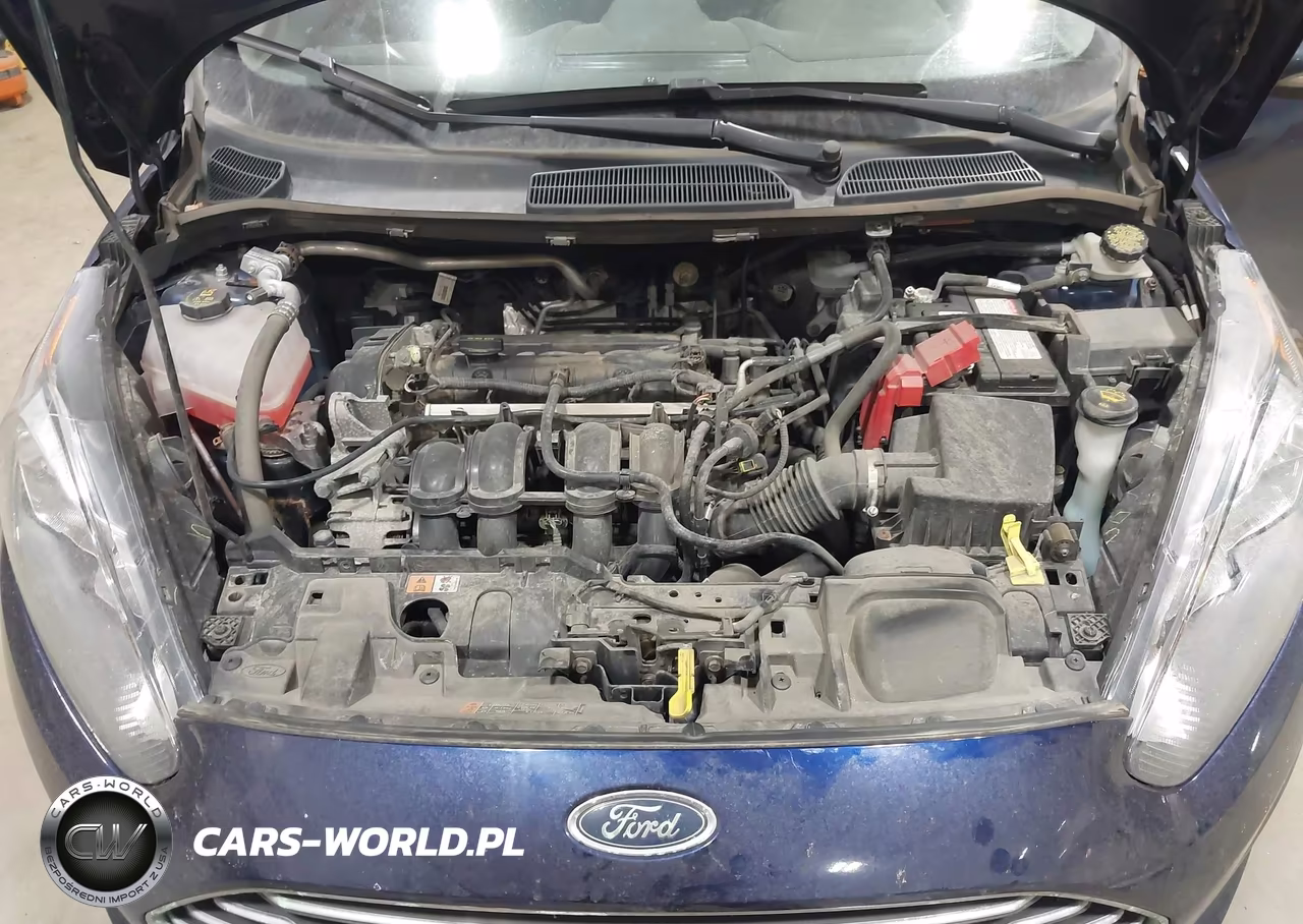 2016 Ford Fiesta Se VIN:3FADP4EJ5GM160104 - 10