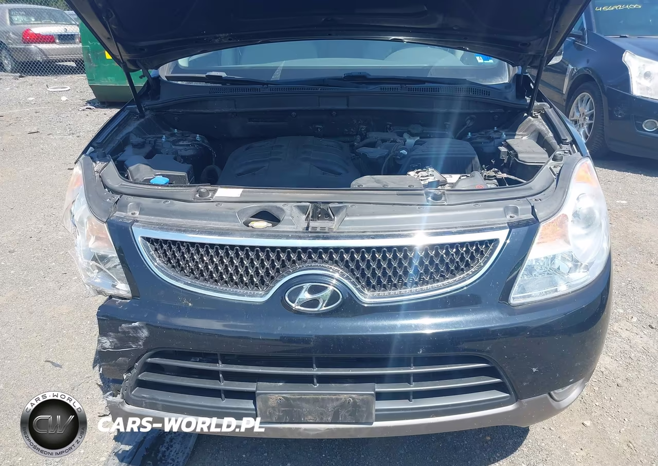 2010 Hyundai Veracruz Gls VIN:KM8NUDCC1AU107958 - 6