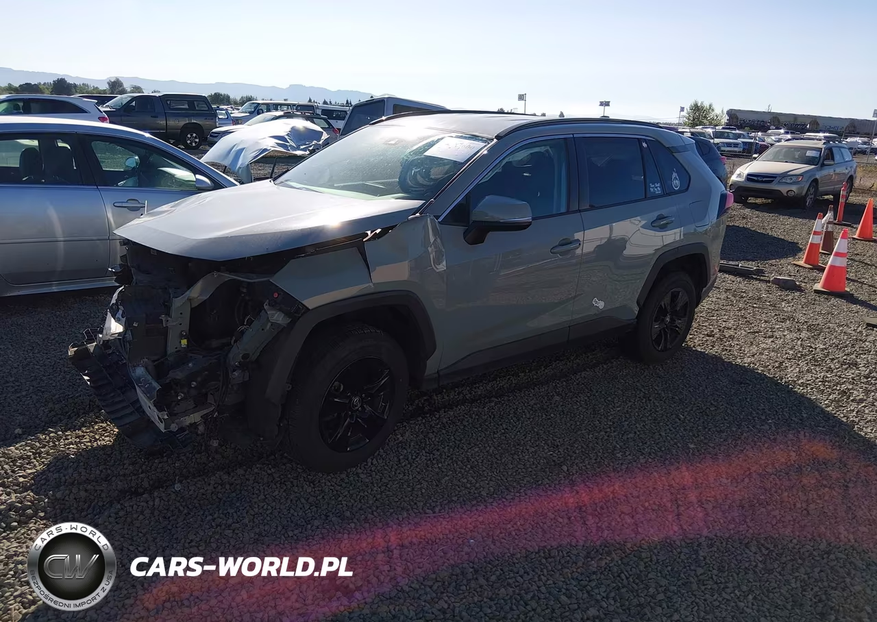 2021 Toyota Rav4 Xle VIN:2T3P1RFV8MW159966 - 2