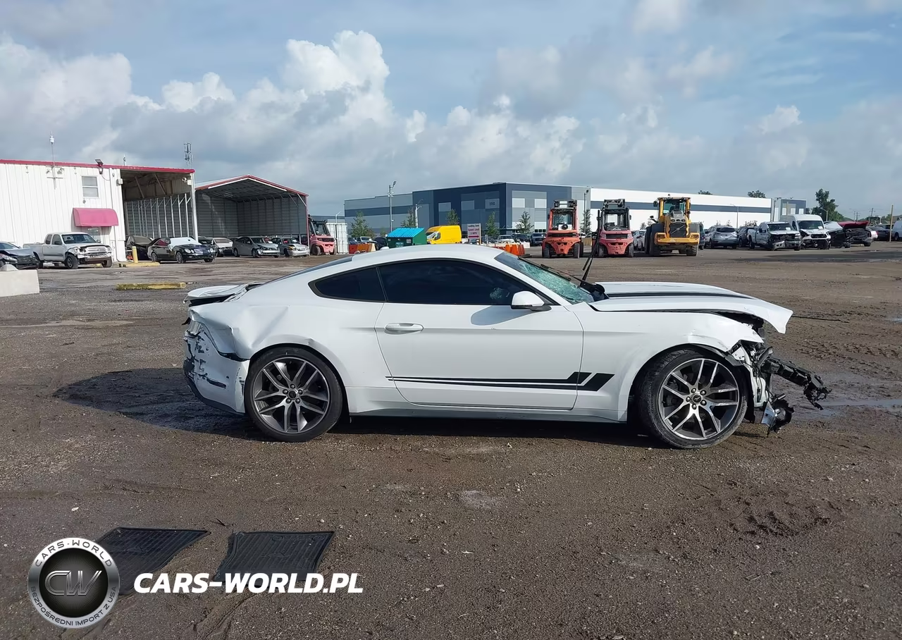 2015 Ford Mustang Ecoboost VIN:1FA6P8TH7F5328989 - 13