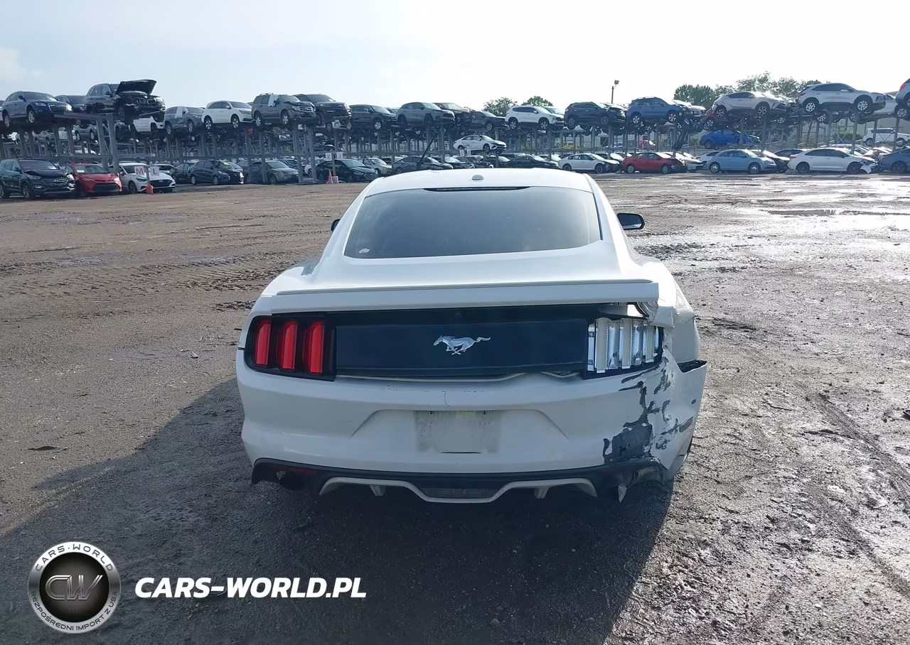 2015 Ford Mustang Ecoboost VIN:1FA6P8TH7F5328989 - 16